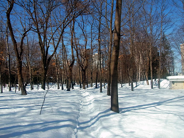 200226hayasi9.jpg