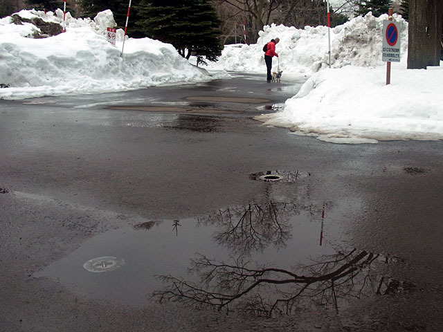 200310yukidoke1.jpg