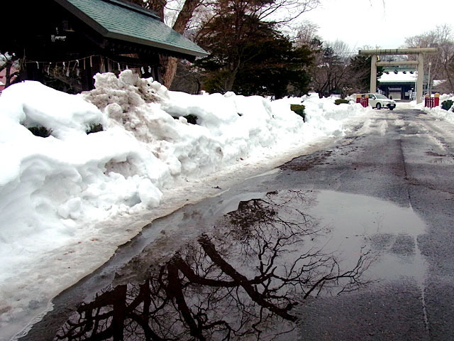 200310yukidoke4.jpg