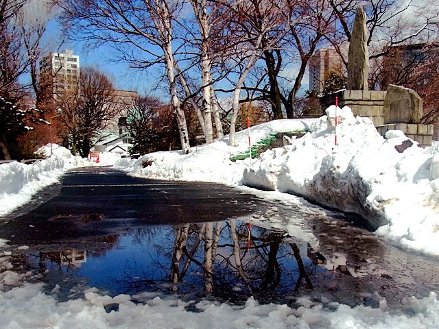 200312yukidoke3.jpg