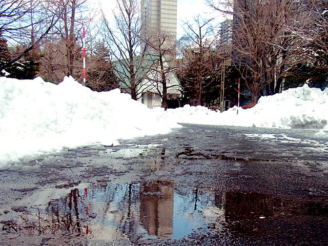 200312yukidoke4.jpg
