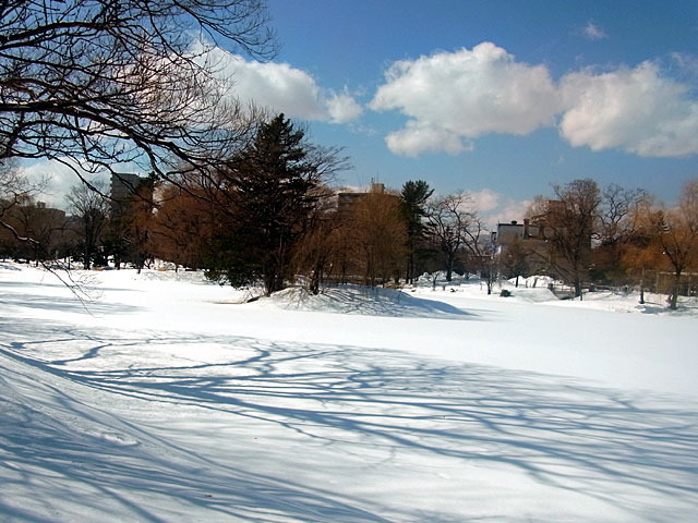 200312yukigesiki3.jpg