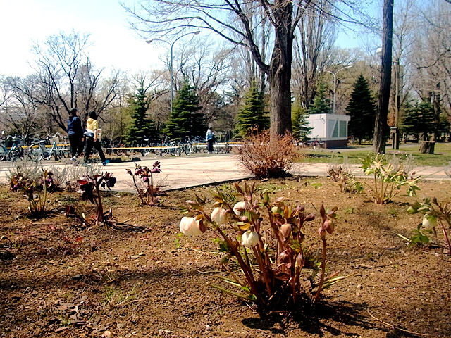 200419kadan.jpg
