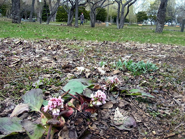 200422kadan4.jpg
