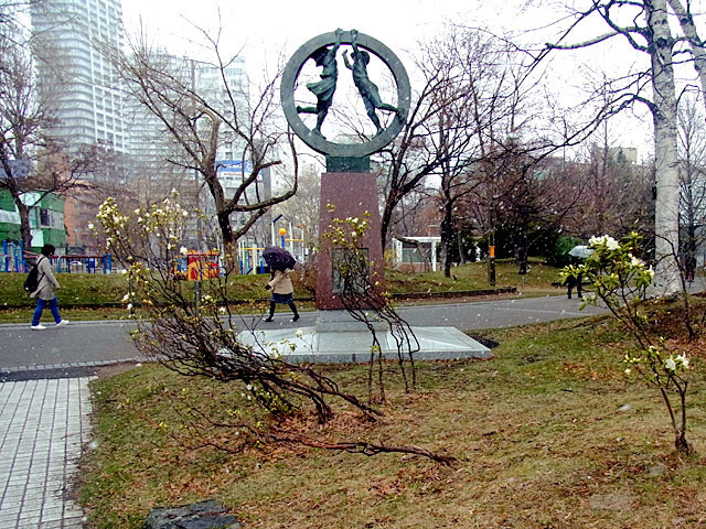200422sirotutuji.jpg