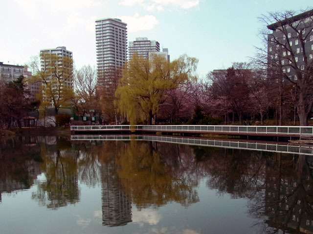 200430sakura6.jpg