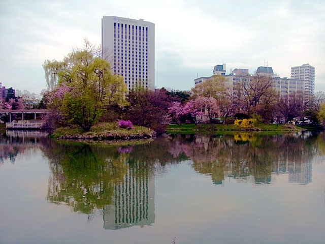 200504sakura5.jpg