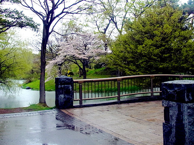 200511ame4.jpg