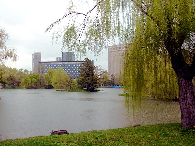200511ame8.jpg