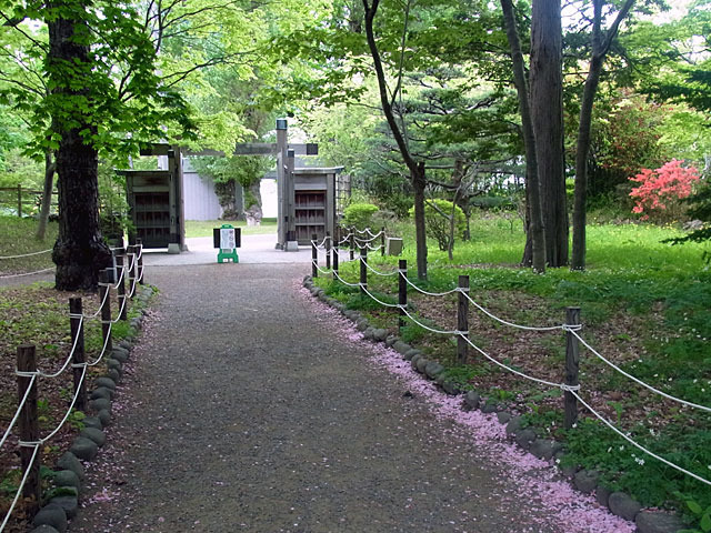 200524oibana2.jpg