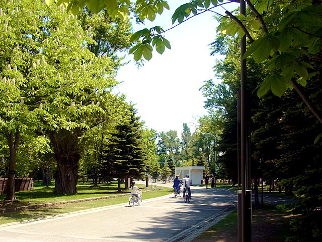 200530shoka6.jpg