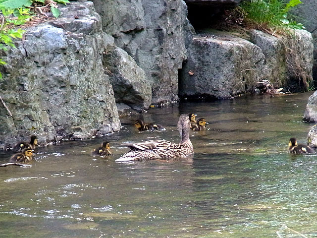 200604hahako6.jpg