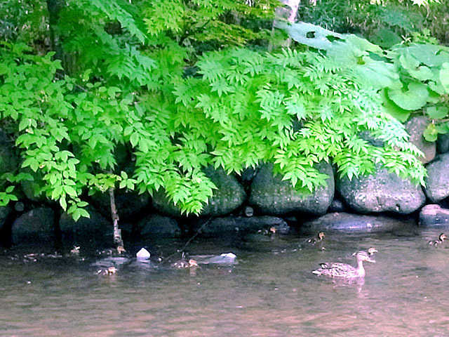 200611oyako2.jpg