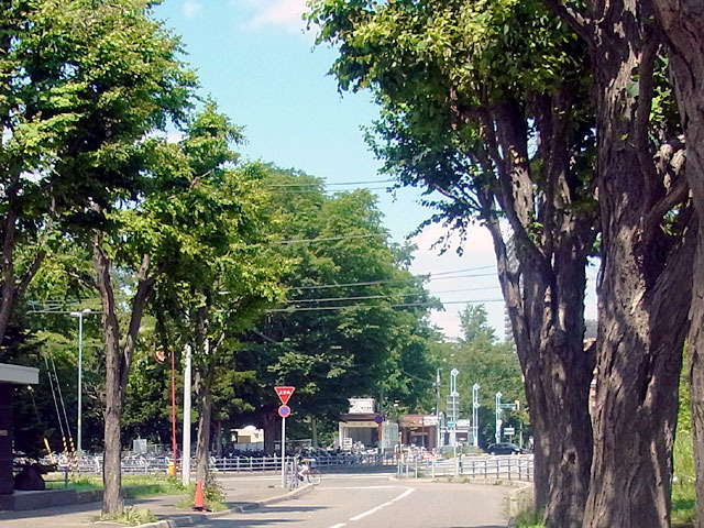 200614iki.jpg