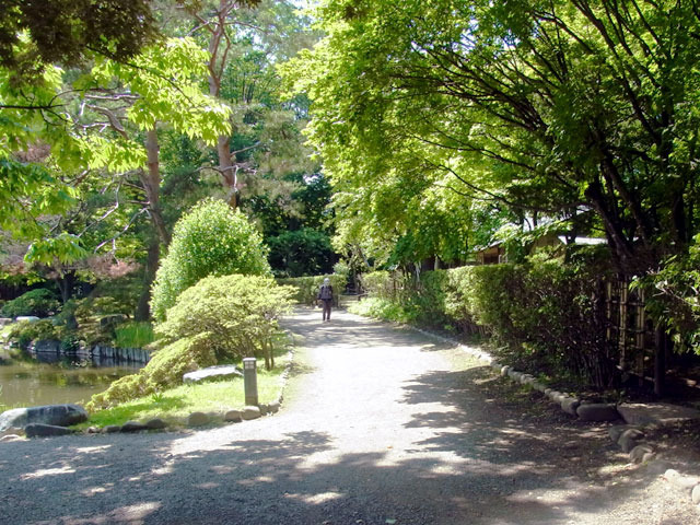 200714sanpo13.jpg