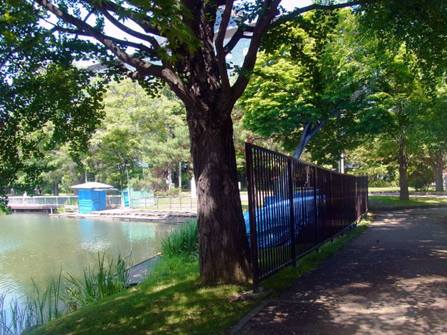 200714sanpo9.jpg