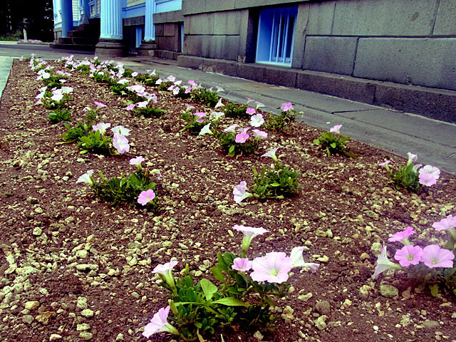 200729kadan.jpg