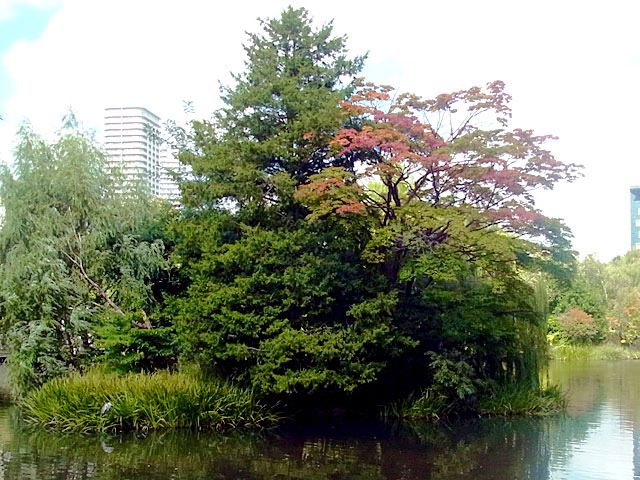 200915aosagi1.jpg
