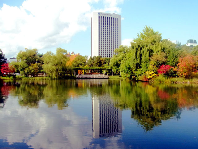 201003kouyou1.jpg