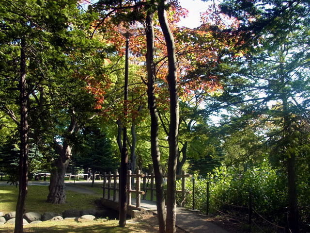 201011kouyou3.jpg