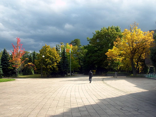 201016kouyou2.jpg