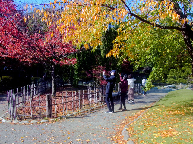 201018kouyou1.jpg