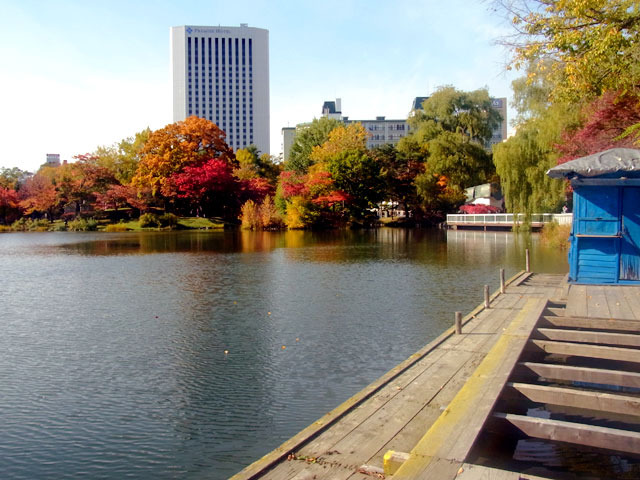 201021kouyou1.jpg