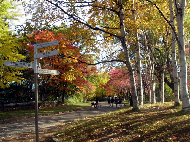 201028kouyou2.jpg