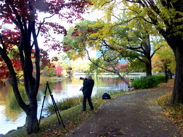 201029daisagi2.jpg