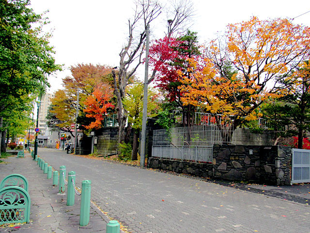 20114iyuuhodou.jpg