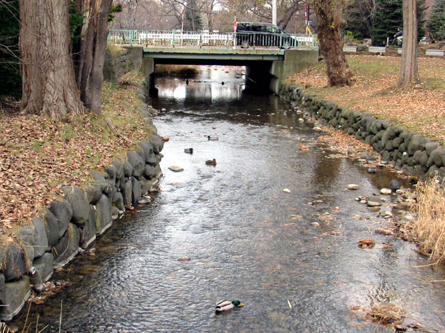 201209magamo8.jpg
