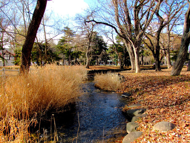 201213kamokamogawa.jpg