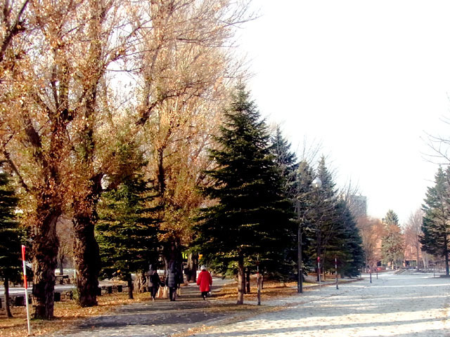 201215enro2.jpg