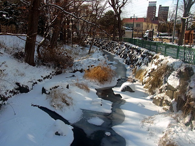 201221kamokamogawa2.jpg