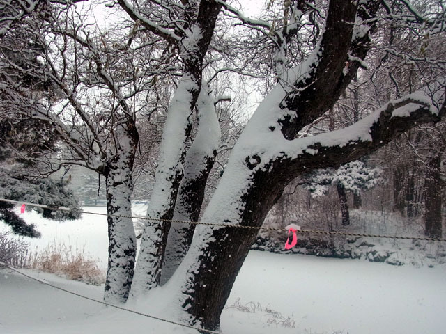 201226ooyuki.jpg