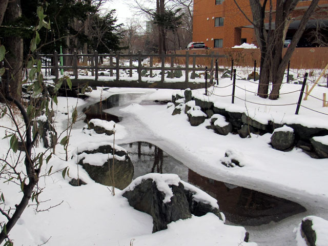 201229nakasu2.jpg