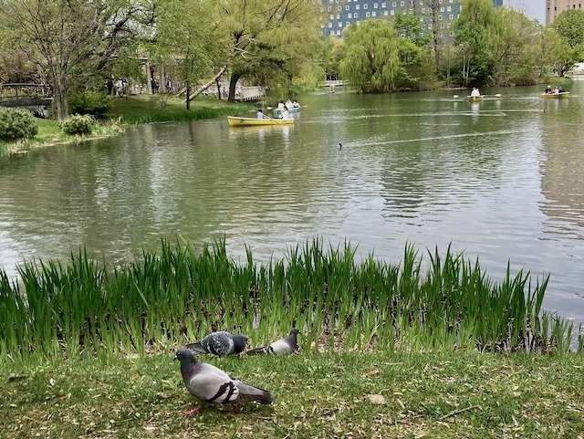 230505doubutu10.jpeg