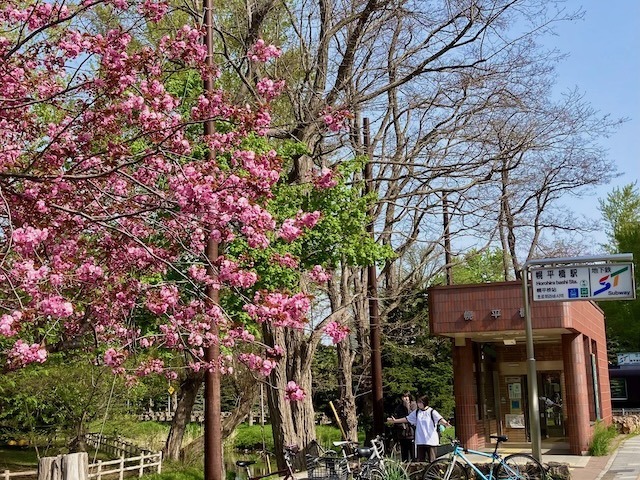 230505gokokujinnja6.jpeg