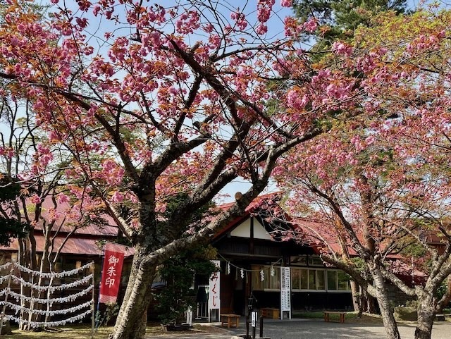 230505gokokujinnja9.jpeg