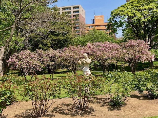 230517hana8.jpeg