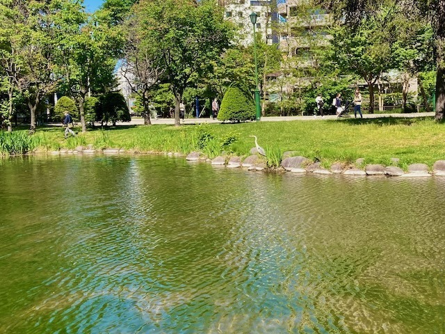 230524aosagi3.jpeg