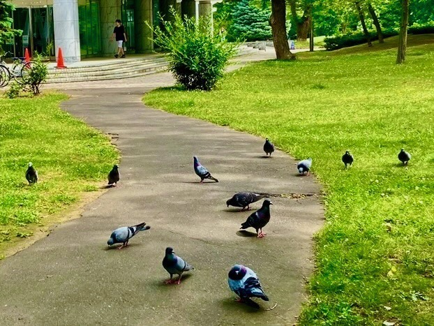 230708doubutu1.jpeg