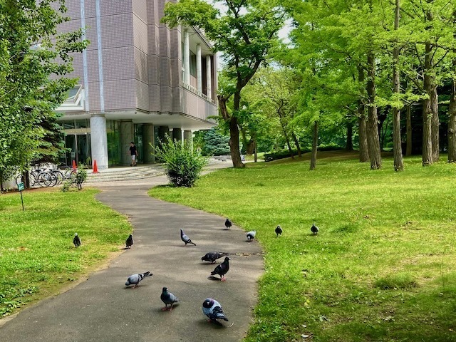230708joujun10.jpeg