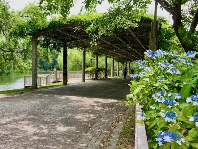230711chujun2.jpeg