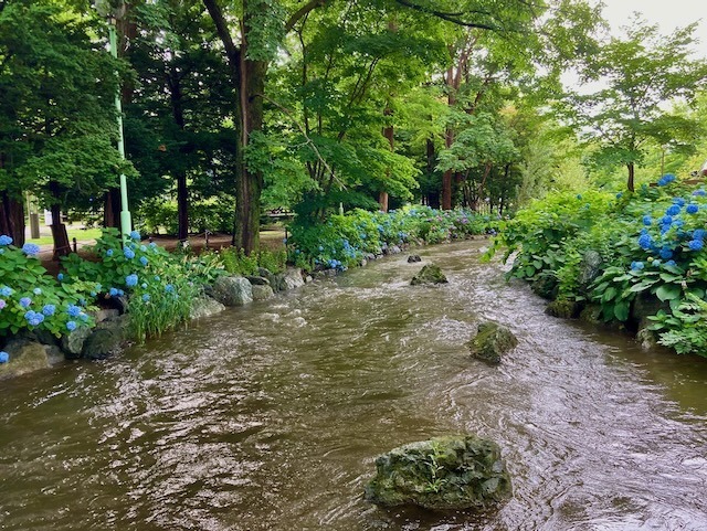 230716chujun8.jpeg