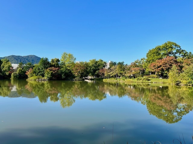 231008fuukei7.jpeg