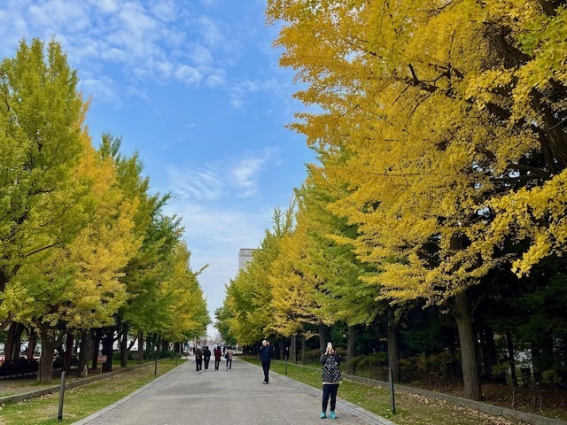 231027kouyou8.jpeg