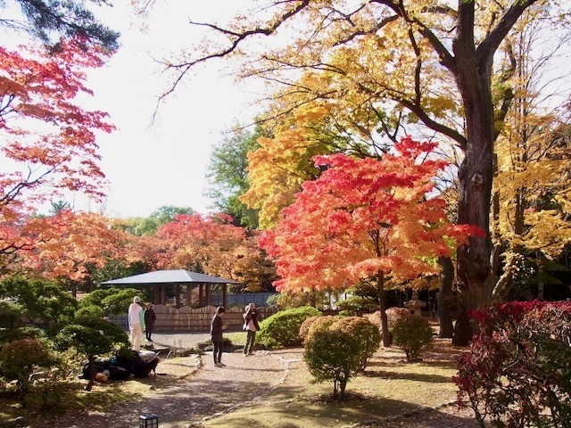 231030kouyou1.jpeg
