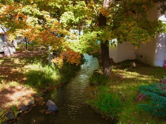 231030kouyou4.jpeg