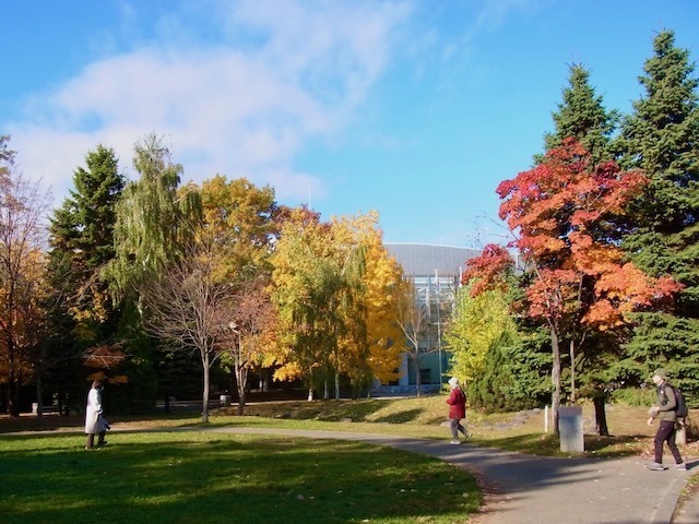 231030kouyou7.jpeg
